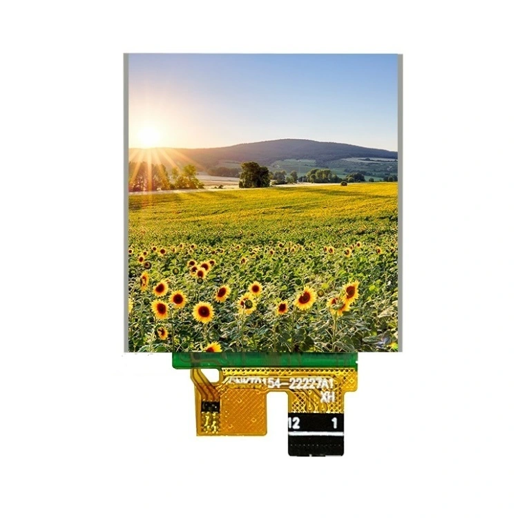 Pantalla LCD TFT de 1.54 pulgadas